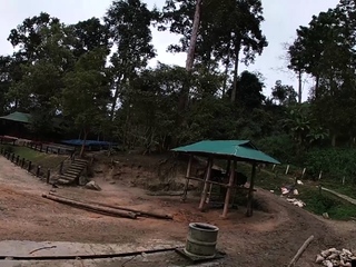 Elephant ride in Thailand with two teens